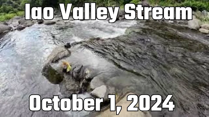 Iao Valley Stream Maui Hawaii 1080p 120fps