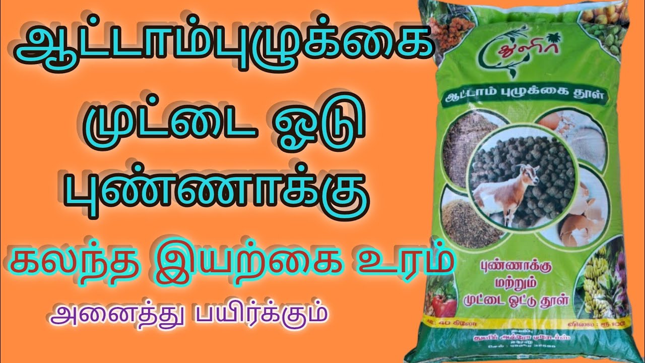 துளிர் அட்டாம்புழுக்கை தூள் முட்டை ஓடு புண்ணாக்கு கலந்த உரம். Natural fertilize Goat manure powder.