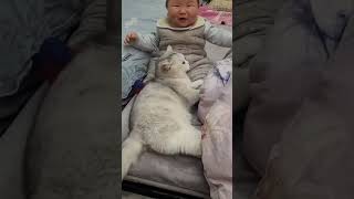 Cute Baby And Cat