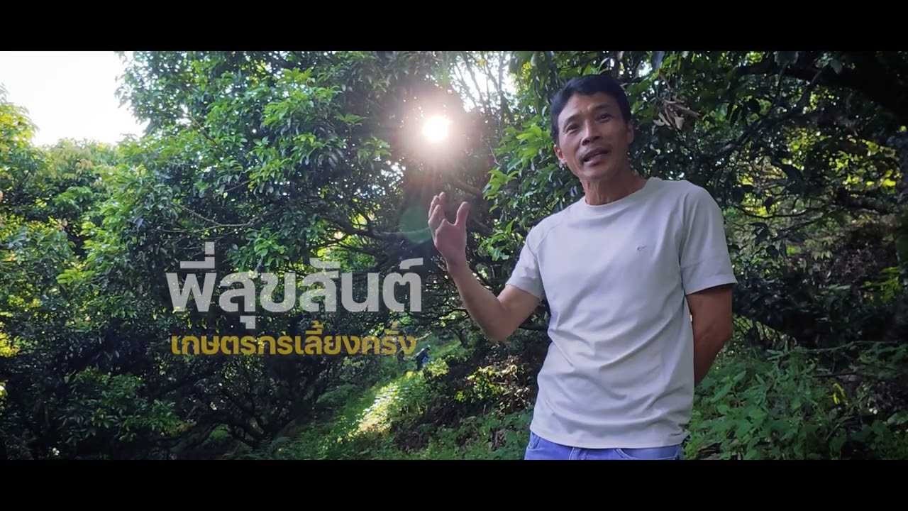 ชีวิต ครั่ง ป่า  บ้านบ่อสีเหลี่ยม อำเภองาว จังหวัดลำปาง