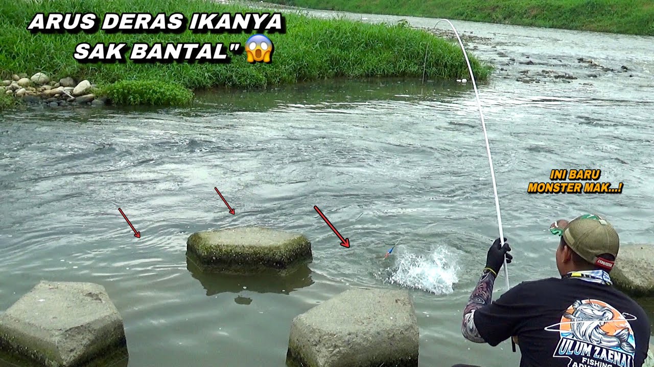 Rejeki nomplok..! Mancing di arus deras dapat ikan nila sak bantal