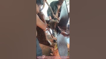 Removing Rope from a Ship