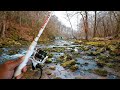 WINTER Creek Fishing With LIVE BAIT (NEW SPECIES)