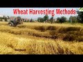 Wheat Harvesting Methods Complete Process in Pakistan