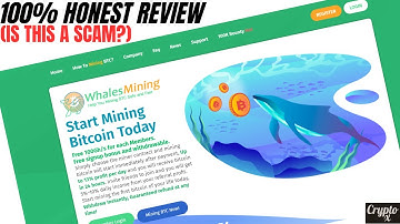 My 100% Honest Review On Whalesmining | Whalesmining Organized Scam | Scam Mining Websites