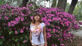 США. Парк отдыха, Свадьба в зелени и какая-то Чупакабра!... США. Парк отдыха, Свадьба в зелени и какая-то Чупакабра!...