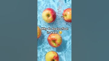 Why Do Apples Float? The Science of Buoyancy Explained! #shorts #applefacts