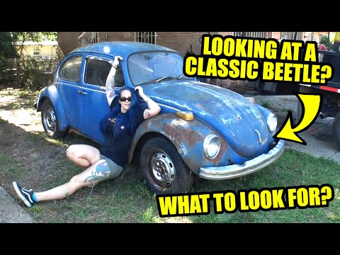 what-to-look-for-in-a-vw-beetl