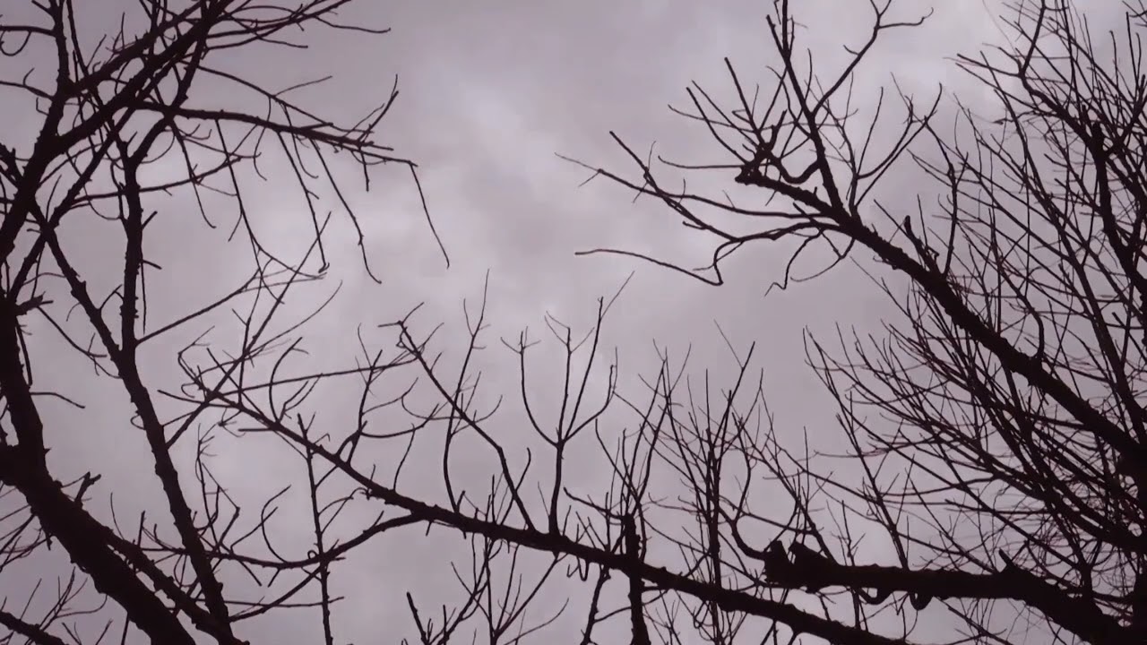 ช่วยพูดความจริง