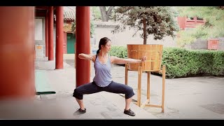 8 Brocades Qigong Practice screenshot 2