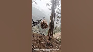 Timbers Transportation By Ropeway In Mountainous Areas !