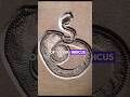 Vasuki Indicus Unearthed: Witnessing India’s Largest Snake Fossil Discovery!#shorts #vasuki