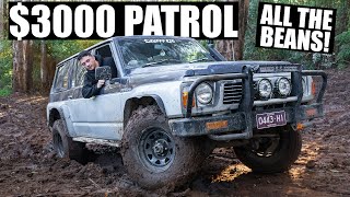 Facebook Marketplace GQ Patrol Goes BUSH BASHING!! [FULL SEND] #nissan #patrol