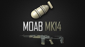 "MK14 Hybrid Sight Face Off Moab!" - CoD: Modern Warfare 3