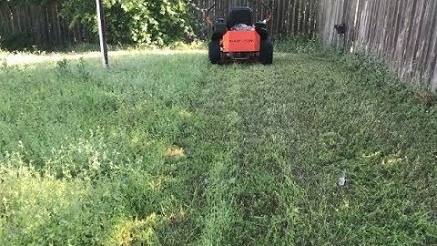 Bad Boy Mower Uncut Grass Problem Fixed -  Lawn care Killeen