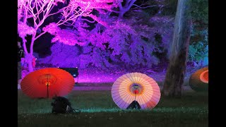 20230525旧芝離宮夜会byワントゥーテン2023【ＨＤ・原画４Ｋ】