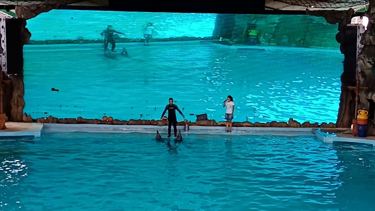 Ocean dream samudra ancol - YouTube