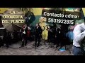 La orquesta Del Flaco &quot;SALSA&quot;