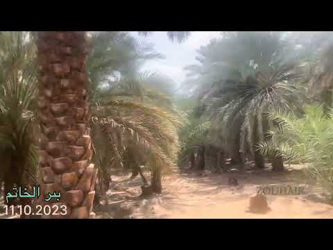 النبي وبئر أريس من معالم قباء بئر أريس خاتم النبي صلى الله