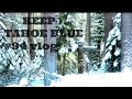 Keep Tahoe Blue//CABIN TOUR #94 Vlog