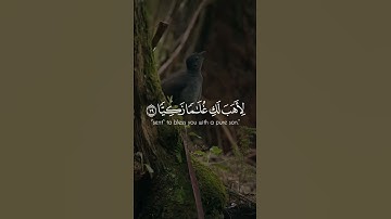 #عبدالباسط #تلاوة_خاشعة  #ترند #لايك #المصحف #اكسبلور #4k #القرآن_الكريم #ترند #لايك  #quran