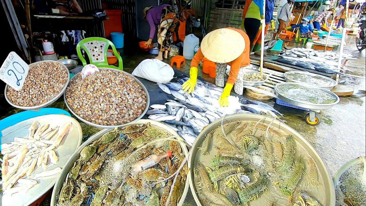 hải sản tươi sống tại tphcm  New Update  Chợ Hải Sản Phú Quốc, Thiên Đường Hải Sản Tươi Sống, Ốc Nhảy Giá chỉ Có 15k/ký