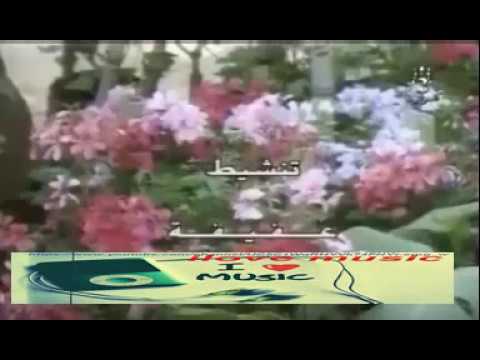 الاغنية الخالدة صباح الخير عليكم وعلينا لن تندم عند سماعها