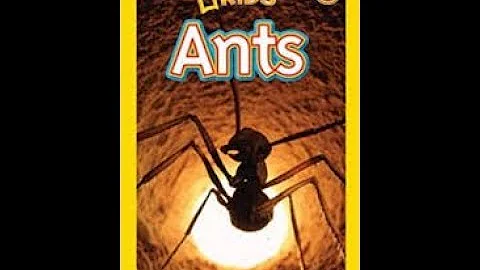Ants by Melissa Stewart