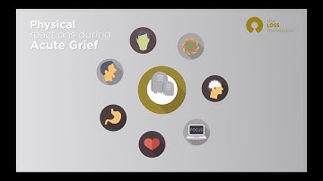 The Phases of Grief - Understanding Bereavement and The 