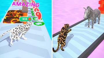 MAX LEVEL in Cat Evolution New Update Gameplay Video