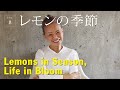 vol.8 レモンの季節