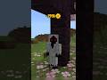 Minecraft WillerMan Edit: The Weither Storm... #shorts #weitherstorm