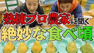 ル・レクチェの絶妙な食べ頃を熟練プロ農家に聞いてみた【洋ナシ・ルレクチェ・農業】