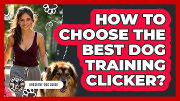 How To Choose The Best Dog Training Clicker? - Obedient Dog Guide