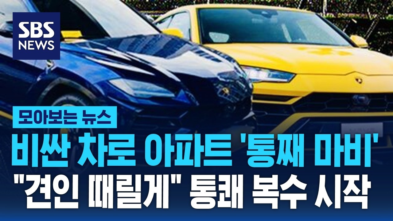 비싼 차로 아파트 '통째 마비'..