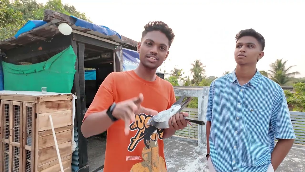 പറവ പിള്ളേർക്കും പെണ്ണ് set ആയി 😅