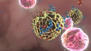 Wellmune Wgp How It Works