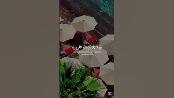 قراءن كريم ما تيسر من سورة فاطر القارئ ياسر الدوسري