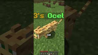 Wait till the end #minecraft #minecraftserver #shorts