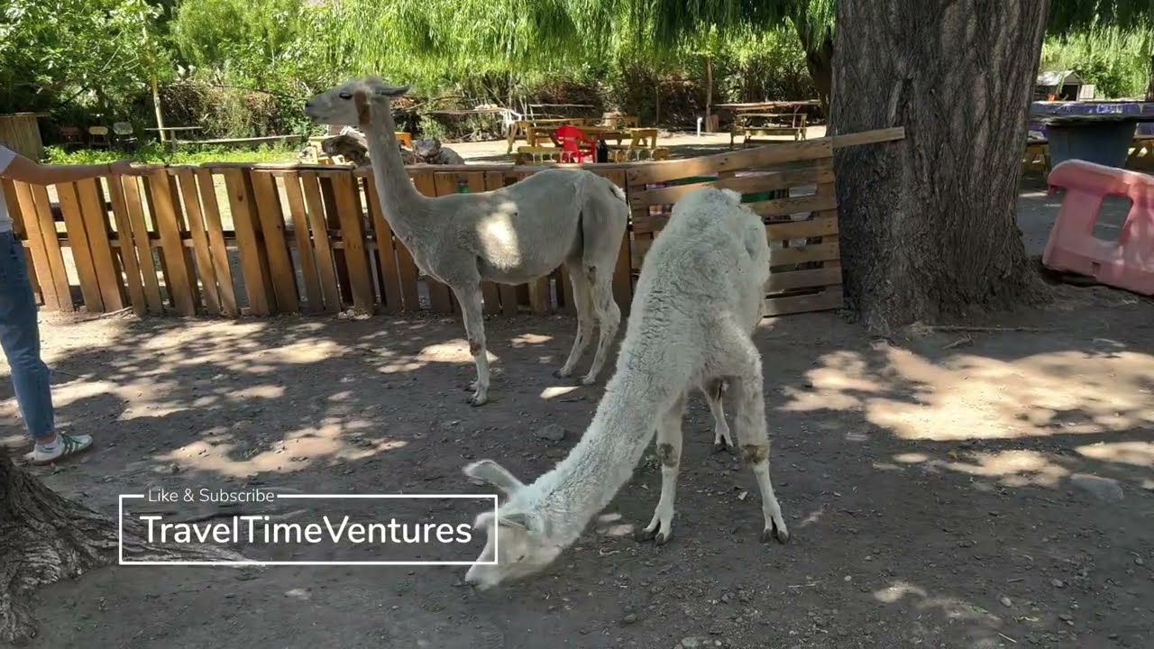 Laguna Del Inca - Scenic day trip