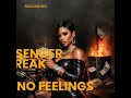 ShaqStar x 10Tik – “No Feelings” | Passenger Freak Dancehall Mix | DJ Sedan