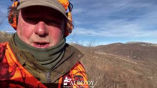 Driven Wild Boar Hunting in Turkey - Week 2 - 2023