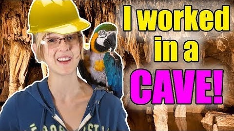 How I Became a Reptile Educator (Emily