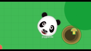 MOPE.IO // NEW PANDA SKIN