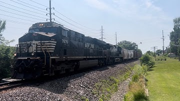 NS 7676 w/ K5LA Leads NS 125