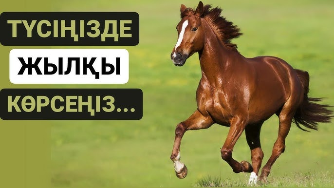 Сталиндік порно 2 Азиялық лесбияндық оргазм