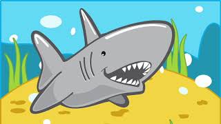 Australian Animals A - Z