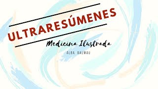 ULTRARESUMEN: Funciones Bilis