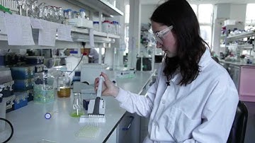 Cambridge University - Meet the Algae