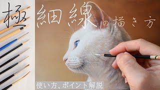 【画材紹介】私が使っている面相筆（小筆）の紹介/細い線の描き方/油絵/猫